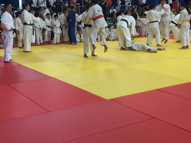 Gymnastics-Crash-Tatami-Judo-Mats-11